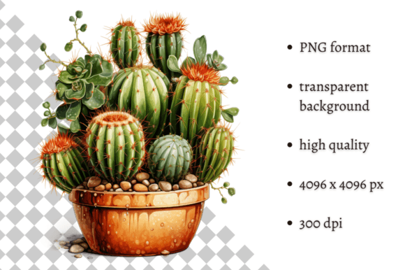 Download Potted Cactus PNG Illustration - Premium Bundle