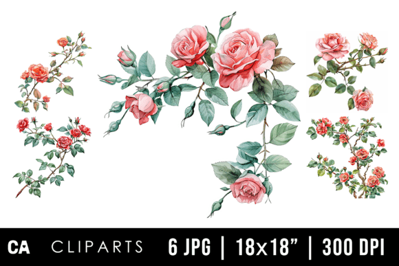 Download Watercolor Rose Flower Branch Cliparts - Flower branch Collection