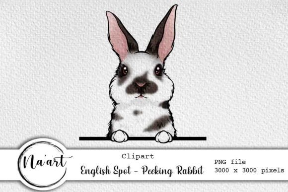 Download English Spot - Peeking Rabbit - Spot Collection