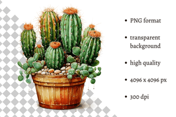 Download Potted Cactus PNG Illustration - Premium Resources