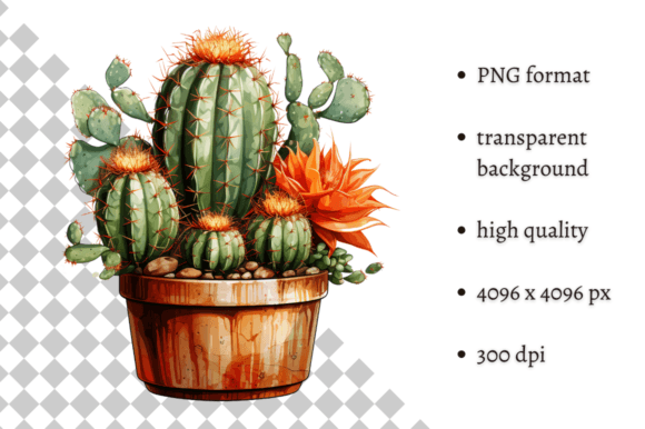 Download Potted Cactus PNG Illustration - Premium Bundle